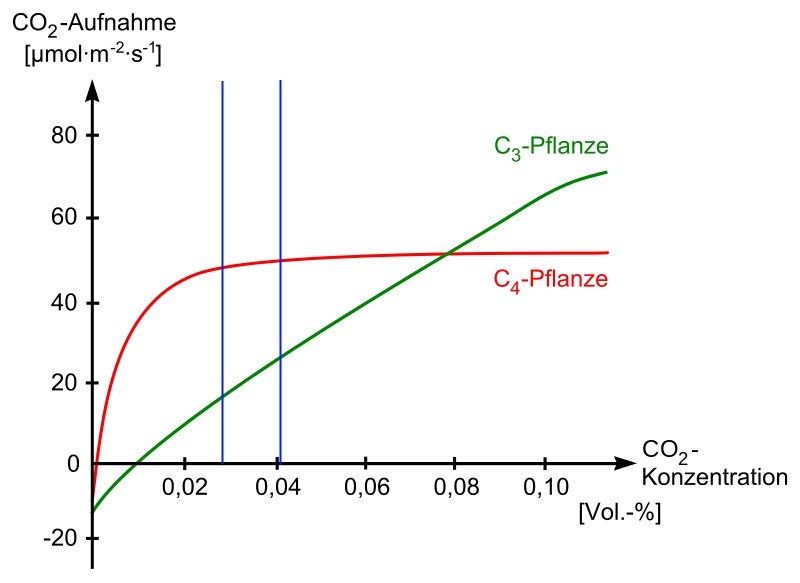 Klima 1